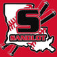 - BAS1874 Sandlot Baseball Decal