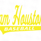 -BRO259 Sam Houston Baseball Swoosh Decal