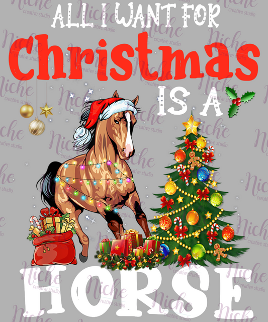 -CHR6021 All I Want For Christmas is a Horse Decal