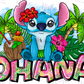 -DIS5051 Ohana Decal