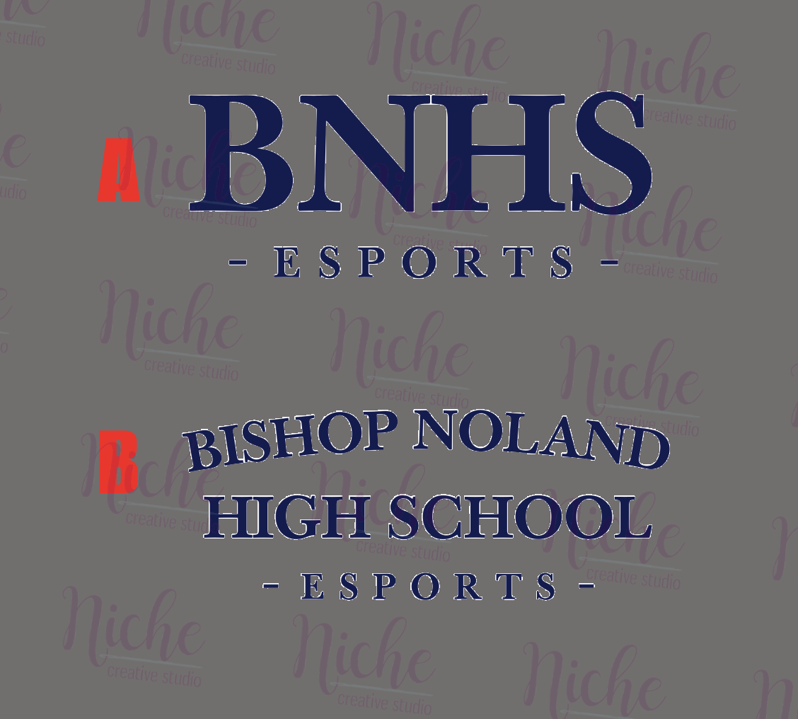 -EDS5374 BNHS Esports Decal