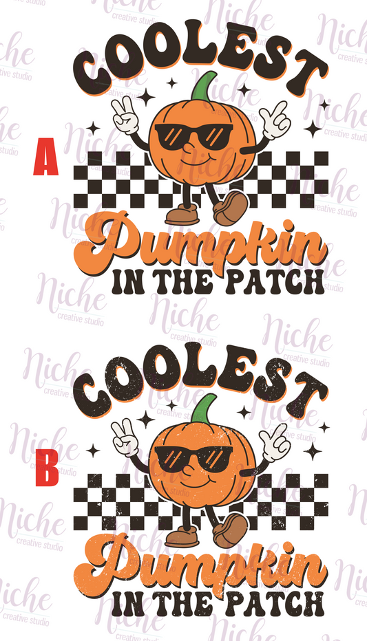 -FAL5213 Coolest Pumpkin In The Patch Decal