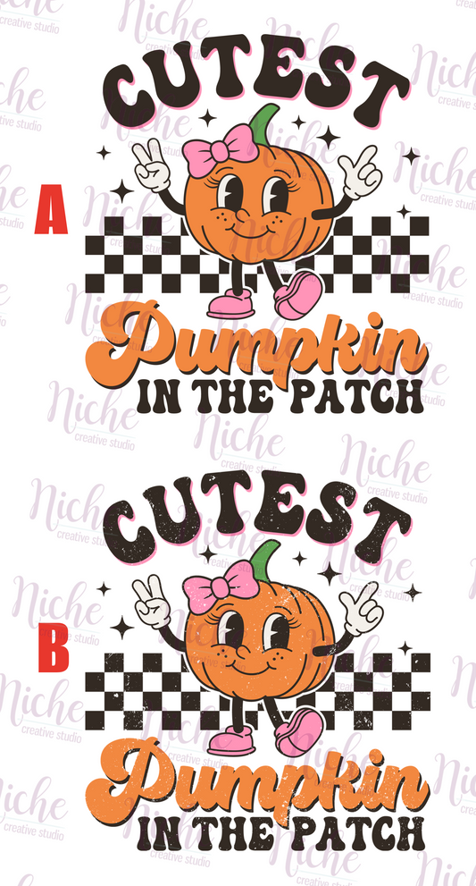 -FAL5216 Cutest Pumpkin In The Patch Decal