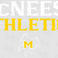 -MCN3005 McNeese Athletics Decal