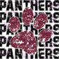 -MER3017 Panthers Distressed Decal