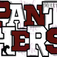 -MER3018 Panthers Varsity Decal